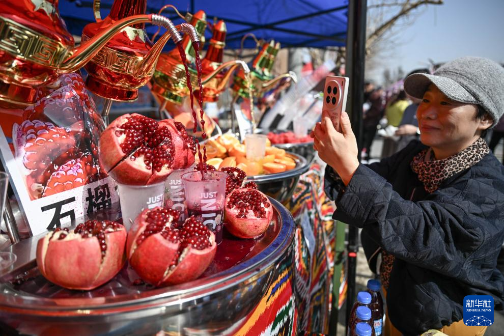 新疆吐鲁番:赴一场杏花之约