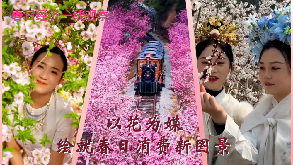 春日经济一线观察｜以花为媒 绘就春日消费新图景