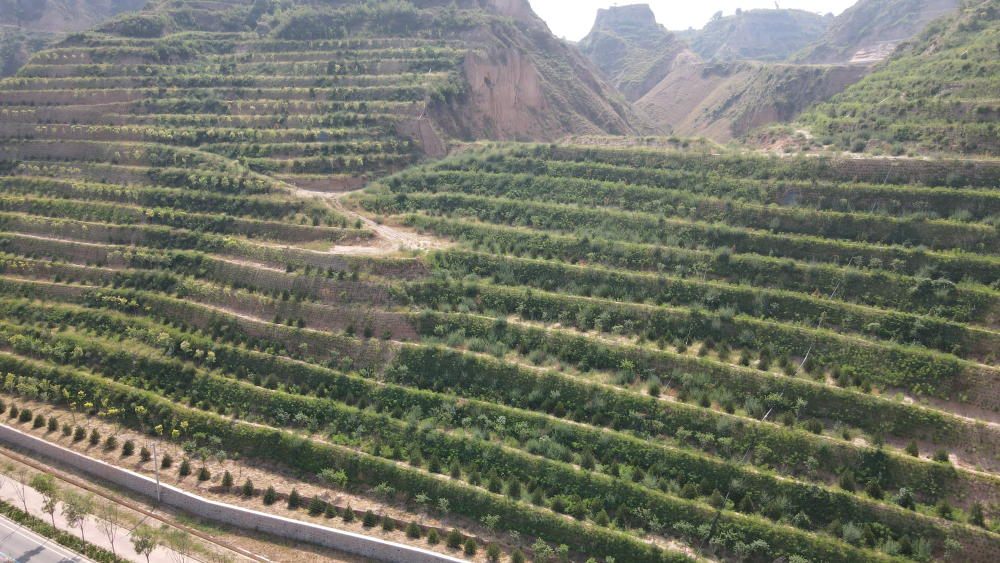从“退捕”到“守护”：一位老渔民眼中的黄河生态嬗变