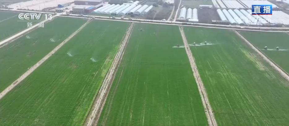 争农时、抢春管、推技术、保丰产 农业科技助力下好春耕生产“先手棋”