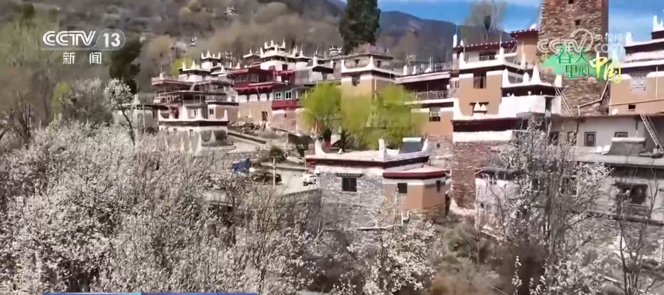 繁花绽放“美丽经济” 多彩活动点燃春日文旅消费热情