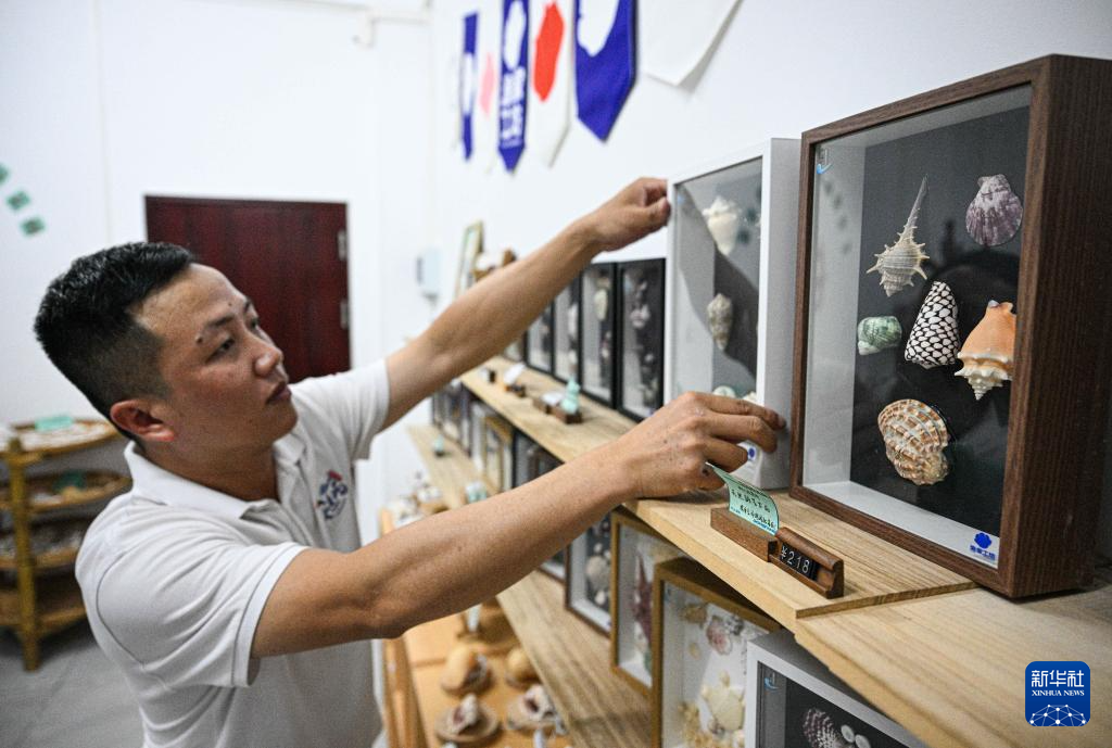 海南三沙赵述岛:从荒芜小岛到生态家园