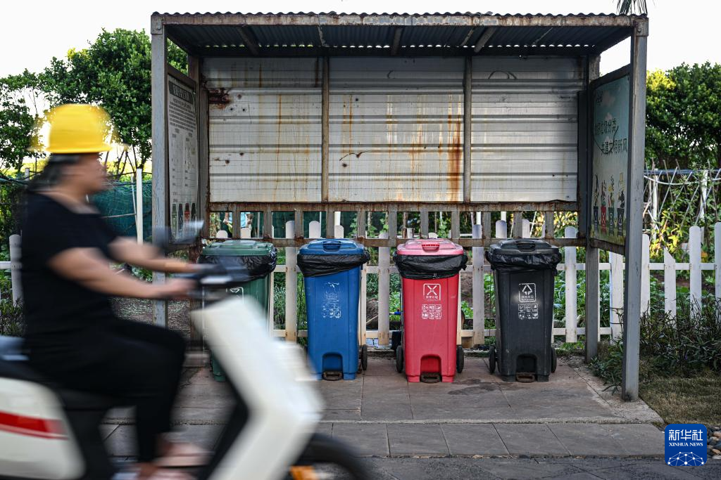 海南三沙赵述岛:从荒芜小岛到生态家园