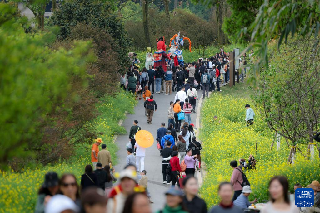 重庆巴南:“花海经济”扮靓乡村