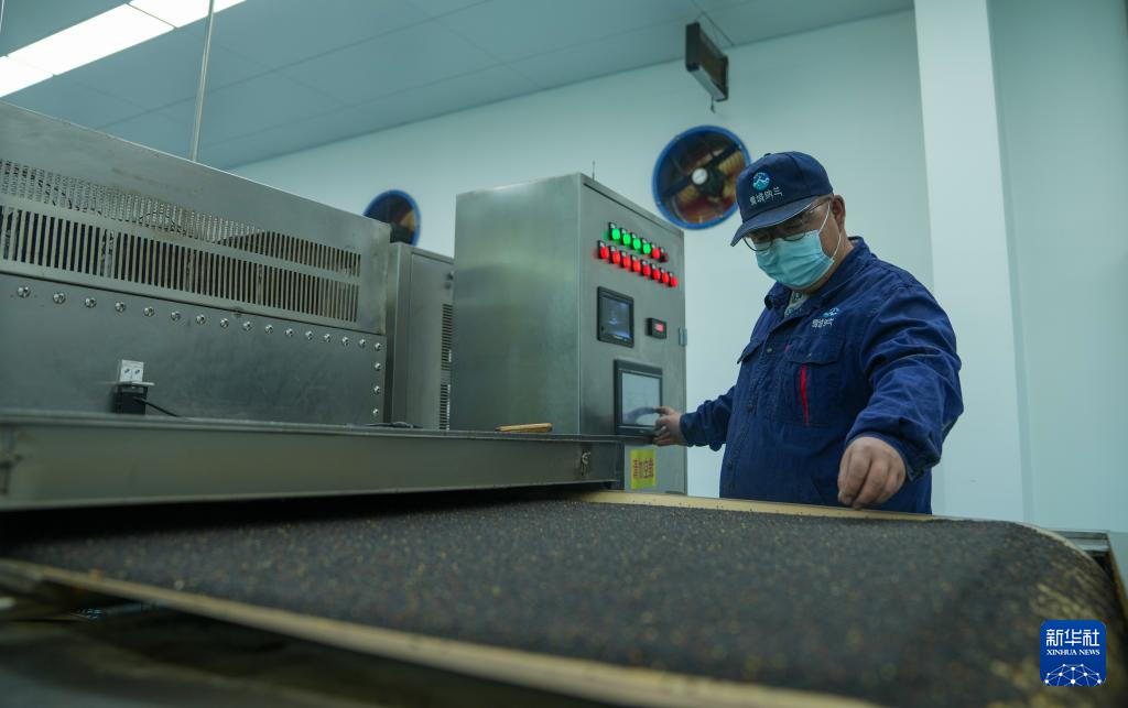 西藏山南：生态优势＋技术创新 带动农民持续增收