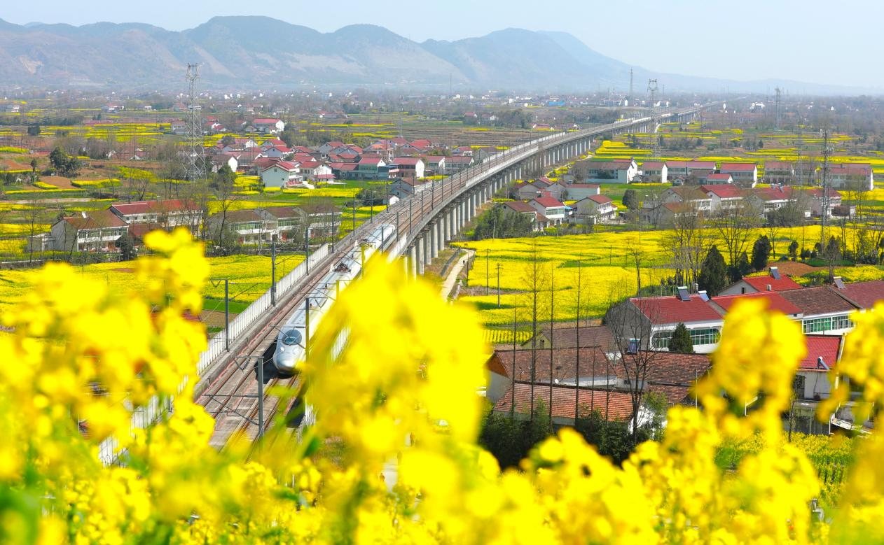 春日里的中国|陕西汉中万亩油菜花盛开 秦巴山间春意正浓