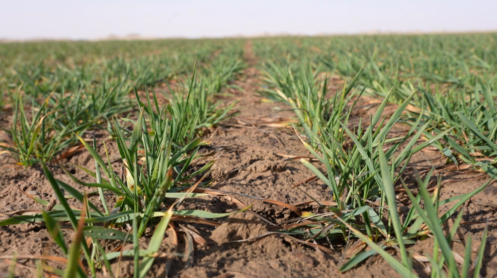 从太空看中国：只用了一年，沙漠边缘“绘就”绿色“同心圆”