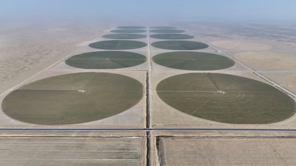 从太空看中国：只用了一年，沙漠边缘“绘就”绿色“同心圆”