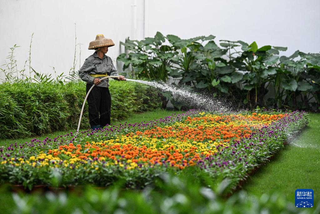 绿色办会点亮博鳌盛会