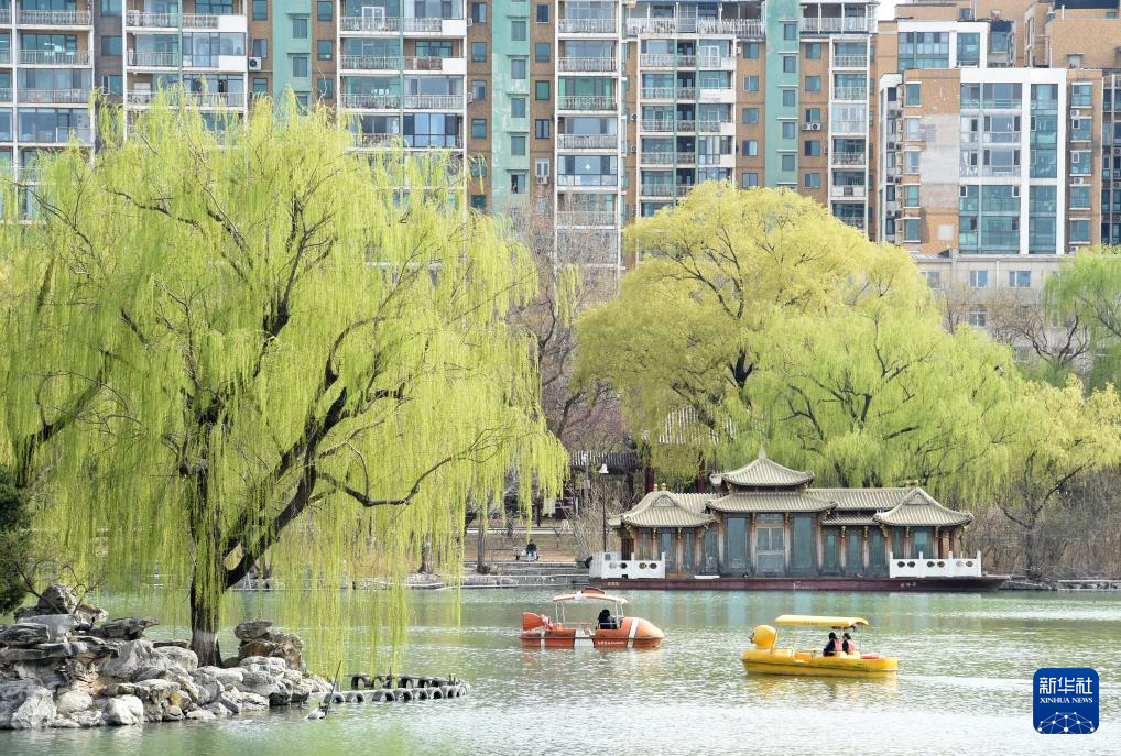 春染京城花枝俏