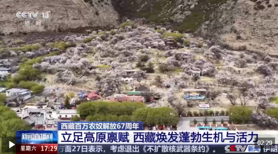 视频丨从“百万农奴解放”到“和美乡村” 西藏焕发蓬勃生机与活力