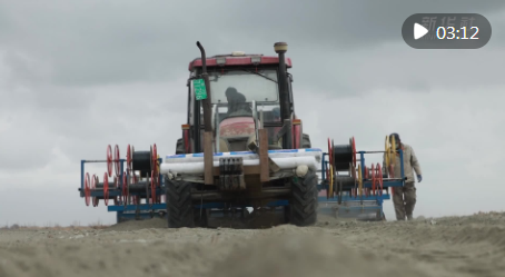 春涌天山 智耕沃野 新疆春耕春播全面展开