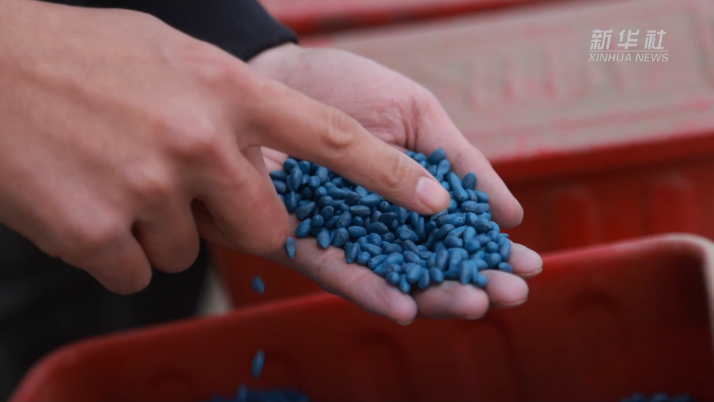春涌天山 智耕沃野 新疆春耕春播全面展开