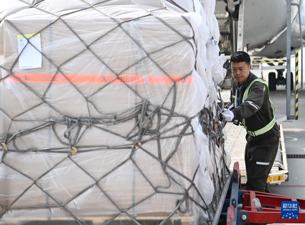 郑州:国际航空货运枢纽能级逐步提升