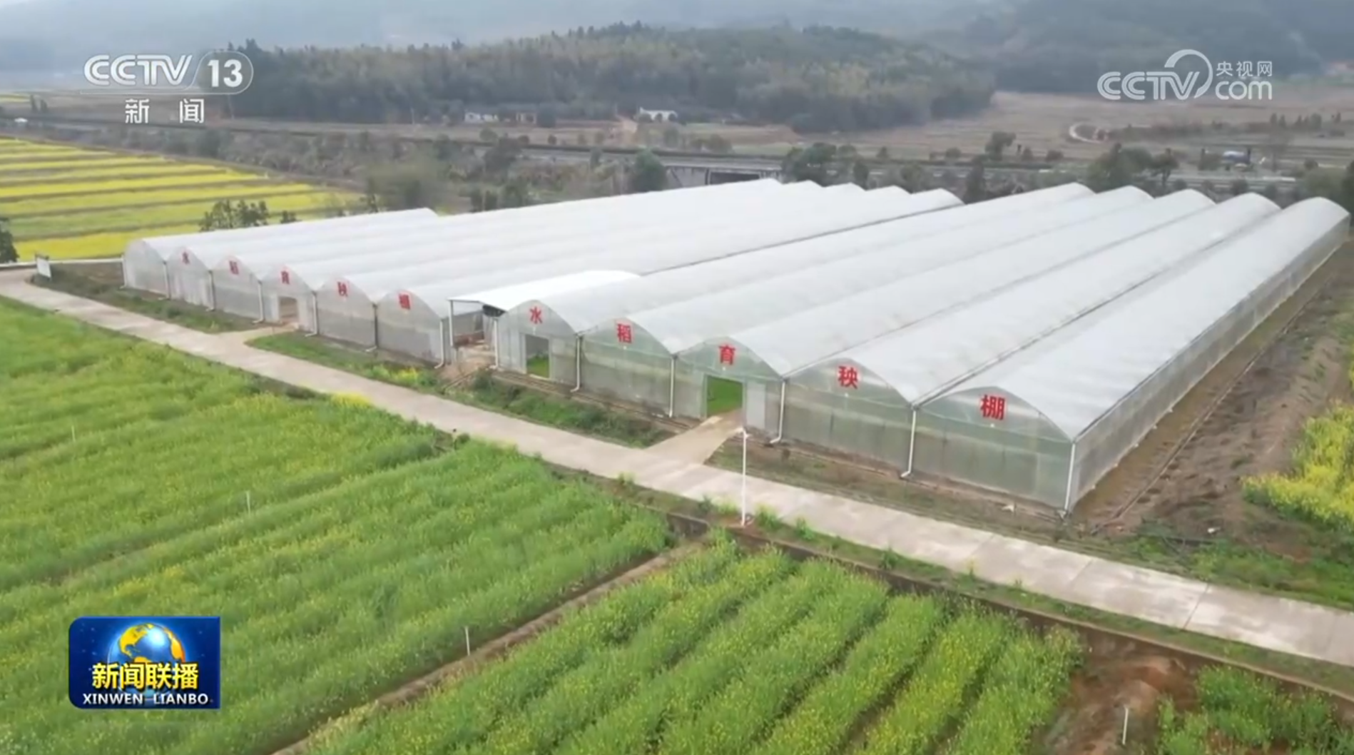 各地春耕生产持续推进