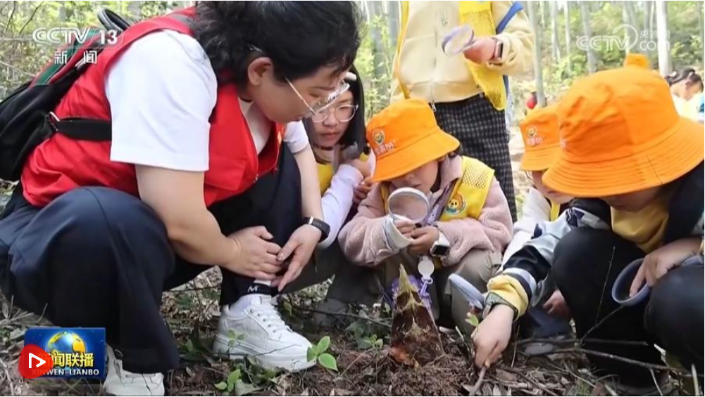 清明时节 踏青赏花正当时