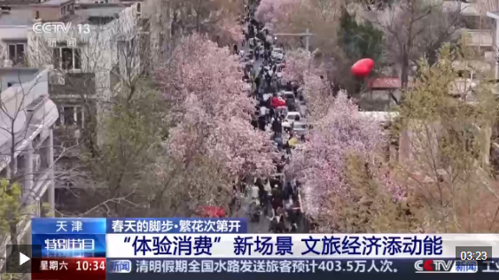 视频丨南北春花次第开放 “赏花经济”解锁农文旅融合新业态