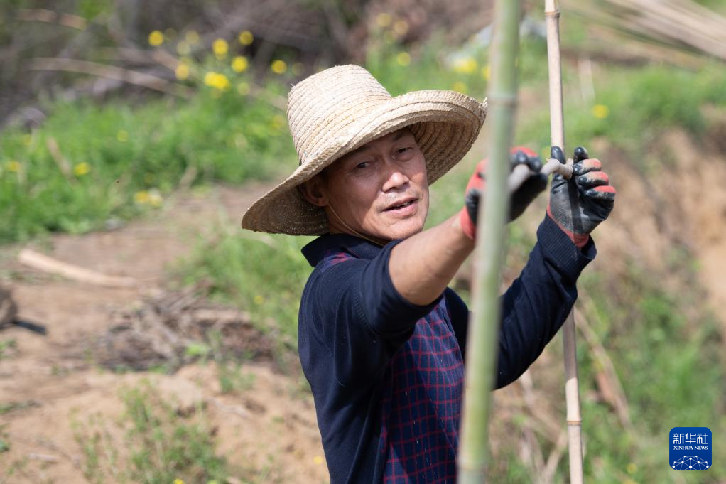 春日农耕忙 姜田孕希望