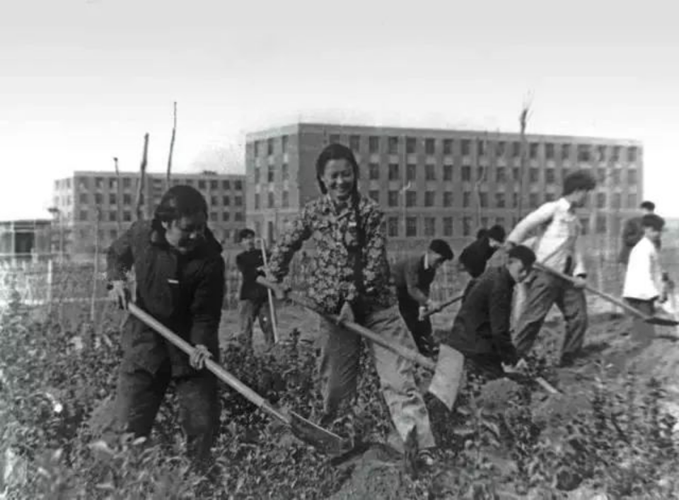 学习进行时|根脉相连 薪火相传