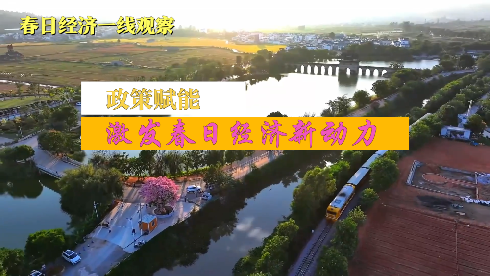 政策赋能 激发春日经济新动力