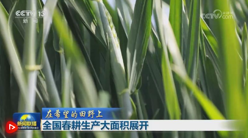 【在希望的田野上】全国春耕生产大面积展开