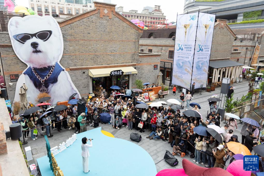 白玉兰戏剧绽放百年弄堂