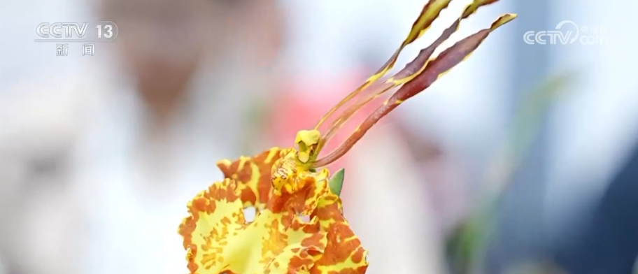 新品爆款火出圈 为“好心情”付费风潮拉动“芬芳”产业链催生新职业