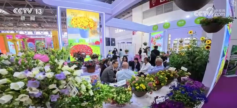 新品爆款火出圈 为“好心情”付费风潮拉动“芬芳”产业链催生新职业