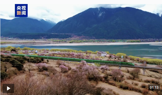 视频丨青藏铁路进出藏货物突破1亿吨