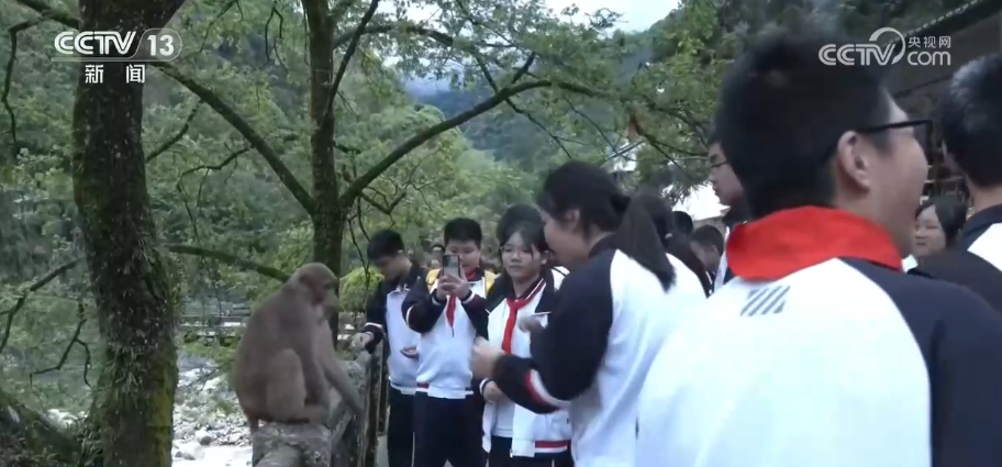 山水本身就是一间流动的自然课堂 春日文旅从“看风景”走向“读自然”