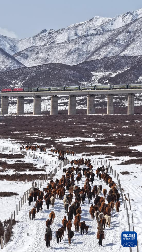 春耕启幕 骏马归原