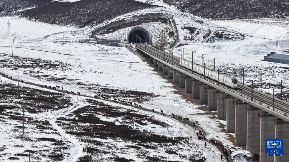 春耕启幕 骏马归原