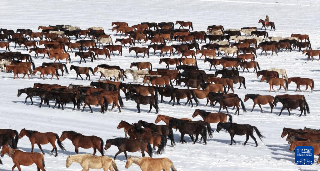 春耕启幕 骏马归原