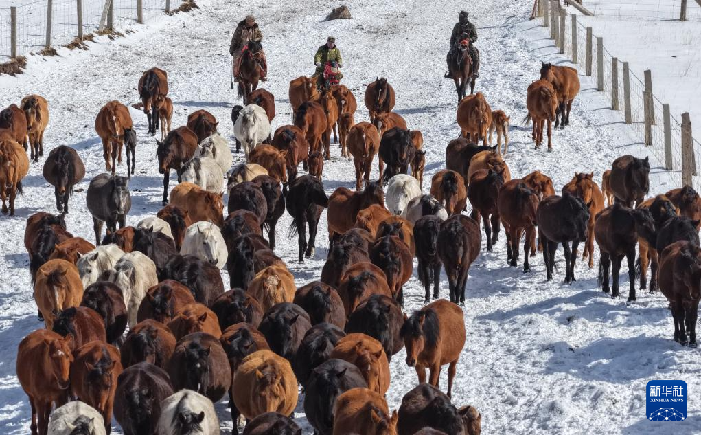 春耕启幕 骏马归原