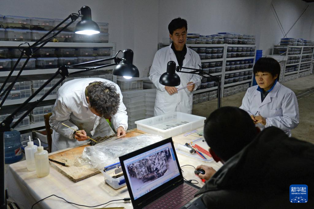 失传1800余年 齐《论语·智道》简首次对外展出