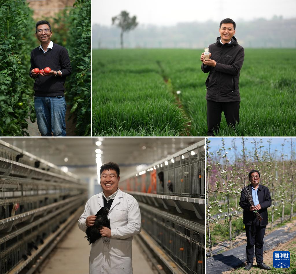 三秦“农科前哨”助农兴农