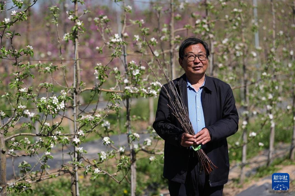 三秦“农科前哨”助农兴农