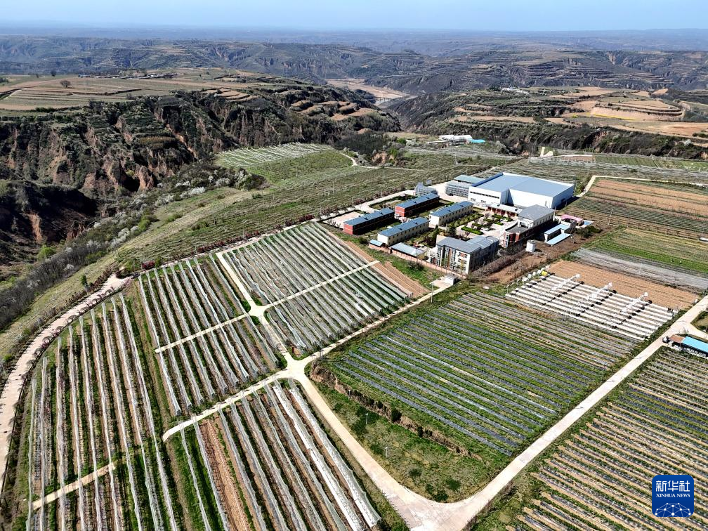 三秦“农科前哨”助农兴农