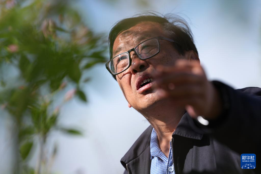 三秦“农科前哨”助农兴农