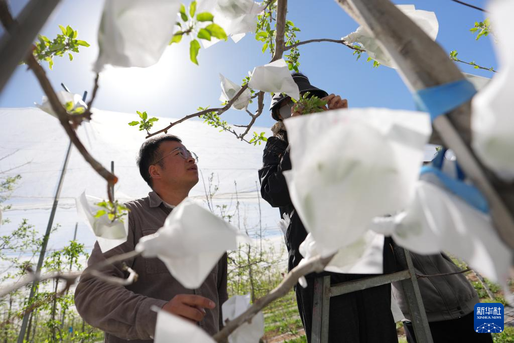 三秦“农科前哨”助农兴农