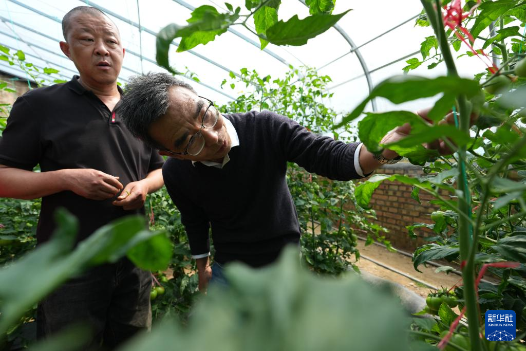 三秦“农科前哨”助农兴农