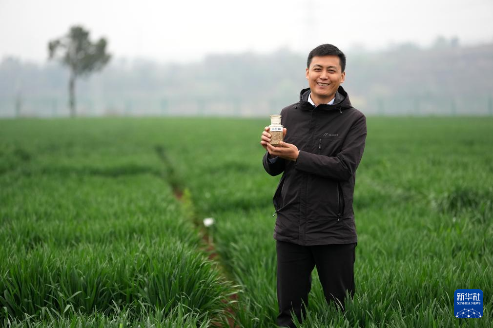 三秦“农科前哨”助农兴农