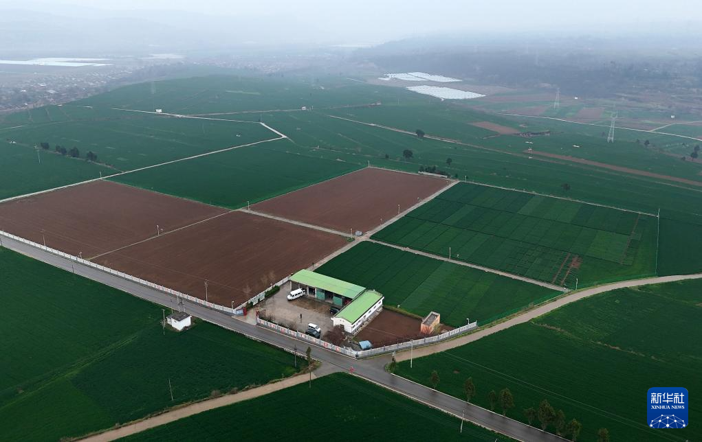 三秦“农科前哨”助农兴农