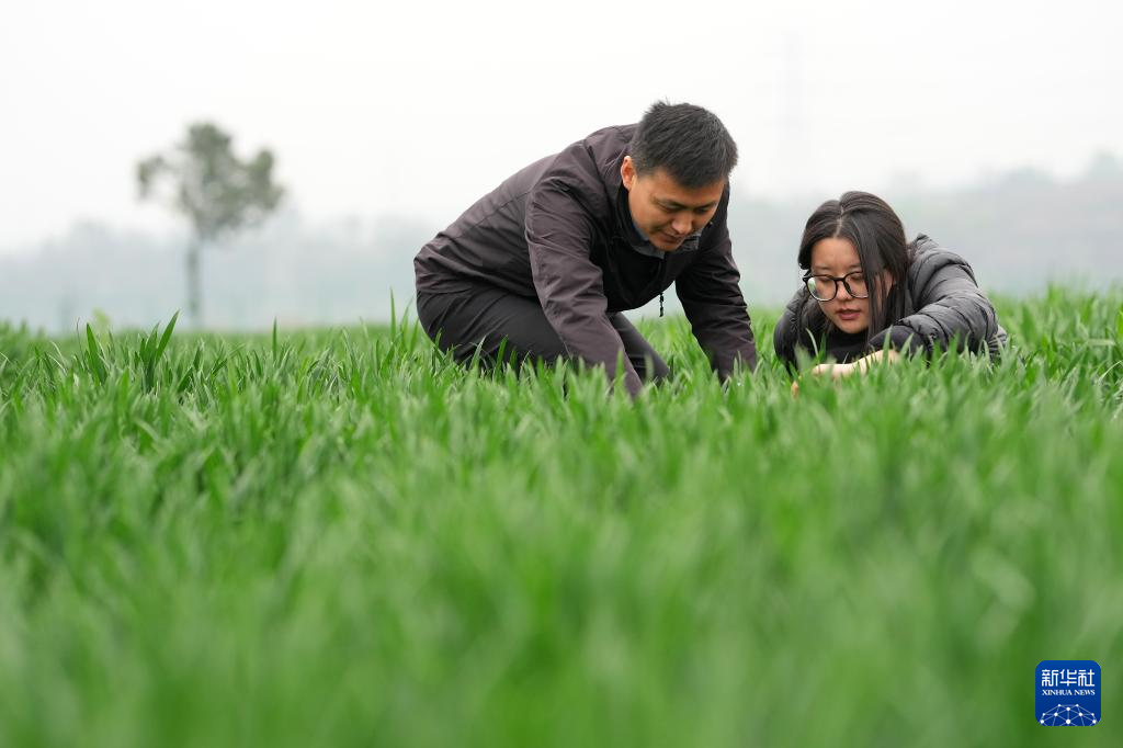 三秦“农科前哨”助农兴农