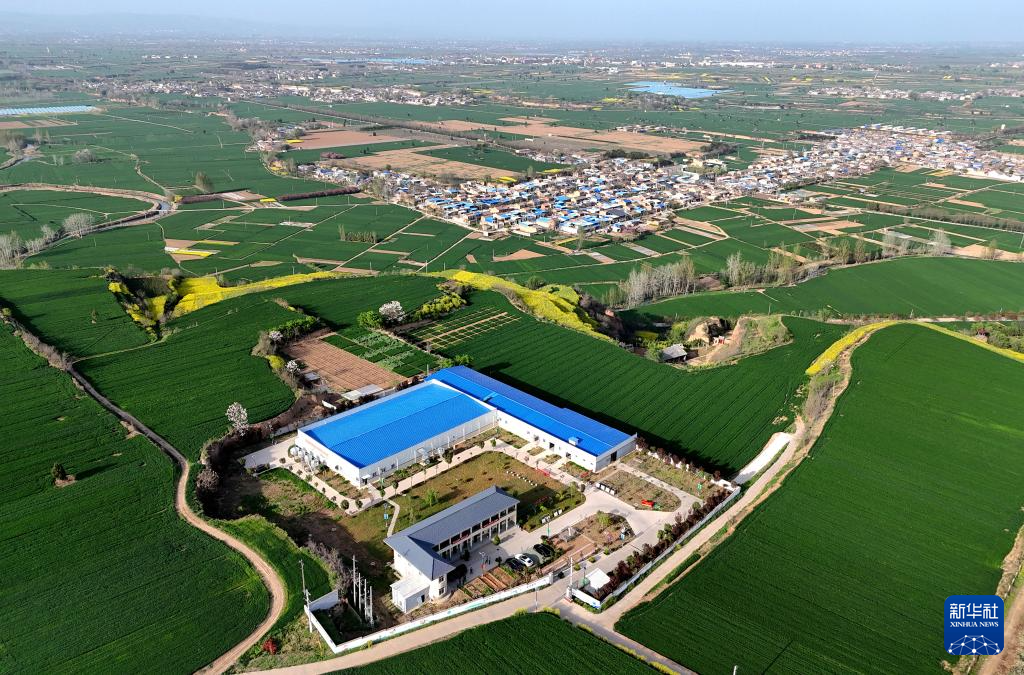 三秦“农科前哨”助农兴农