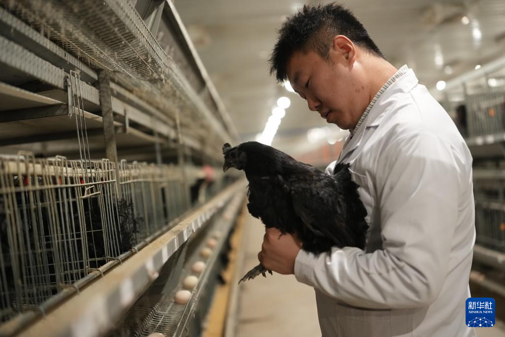 三秦“农科前哨”助农兴农