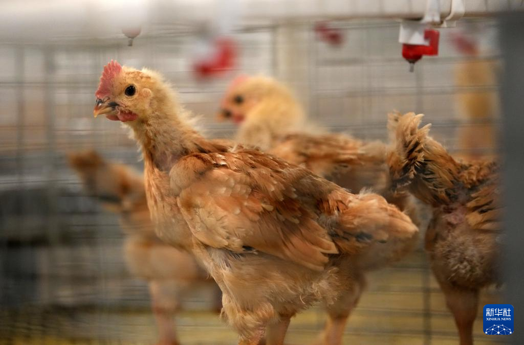 三秦“农科前哨”助农兴农