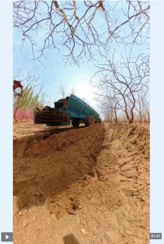 新疆洛浦：返乡青年沙漠边缘种出“致富园” 青春力量赋能乡村振兴