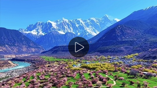 大美边疆看我家丨西藏拉萨：高原雪山 辽阔牧地