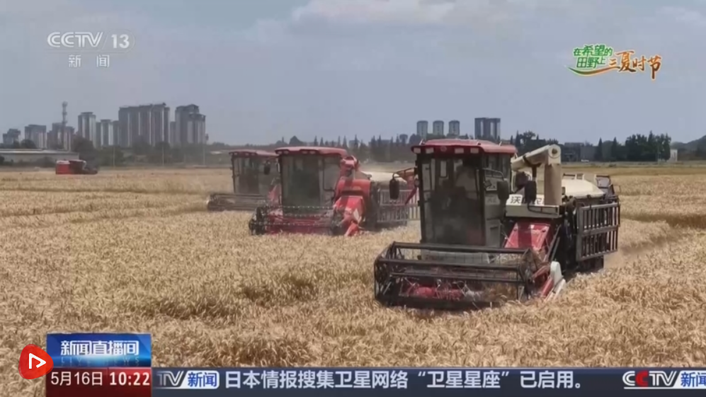 “政策+科技”双管齐下 “稻麦同框”绘就智慧农业新图景